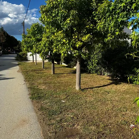 Garden House Apartament Nikiti (Sithonia)