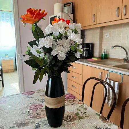 Garden House Apartment Nikiti (Sithonia)